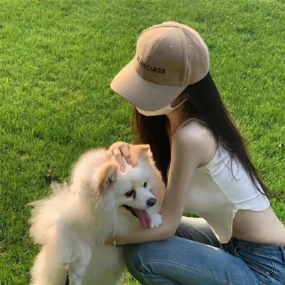 雍正王朝